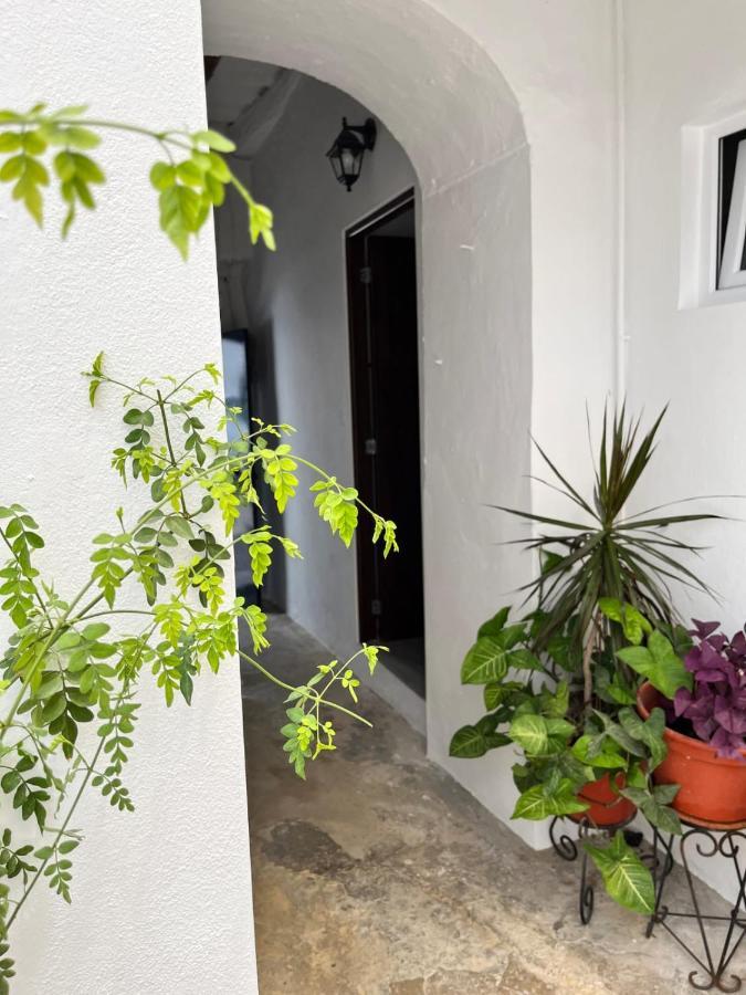 Apartamento 29 阿尔科斯-德拉弗龙特拉 外观 照片